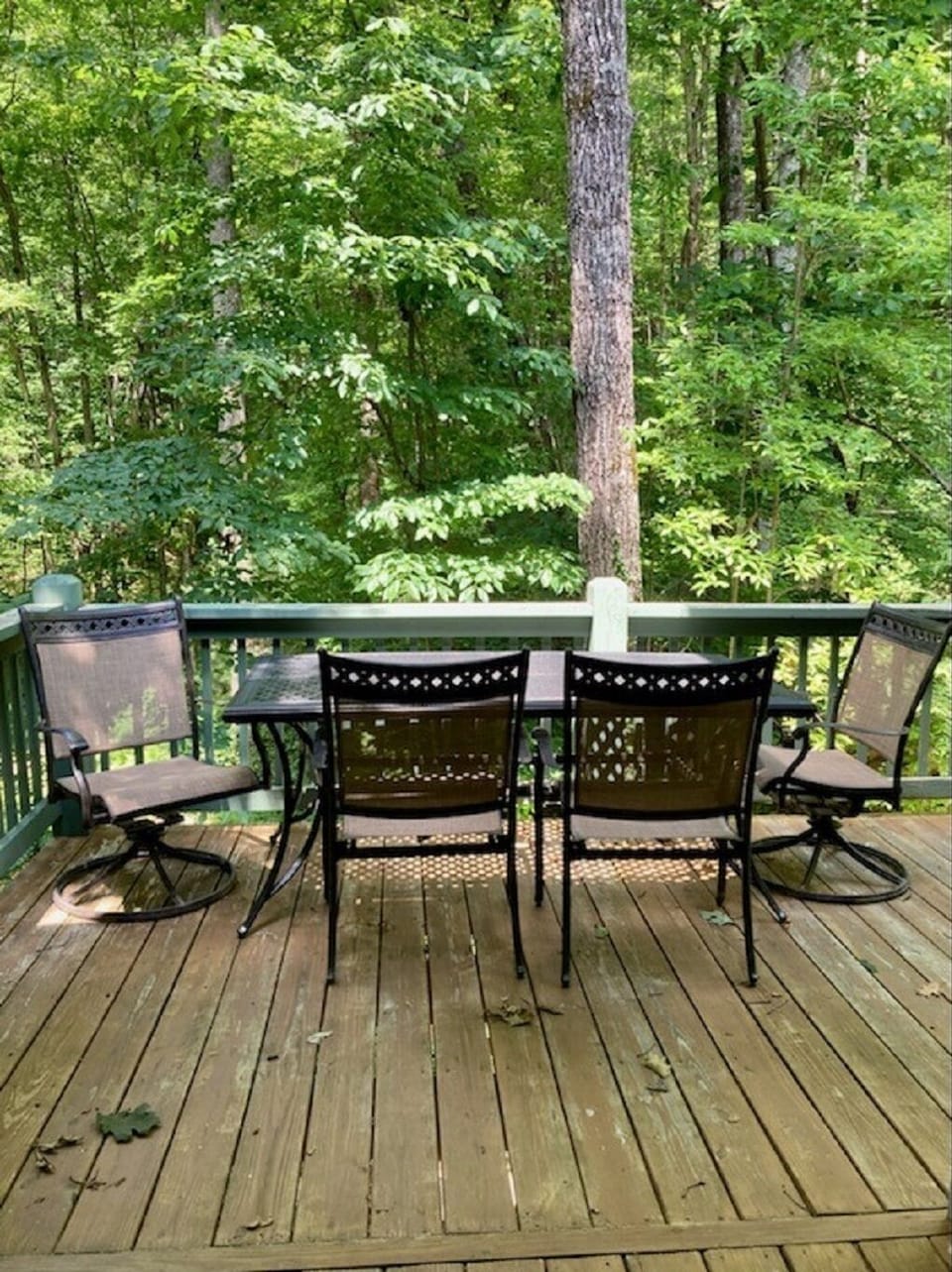 Picnic Table on the Deck