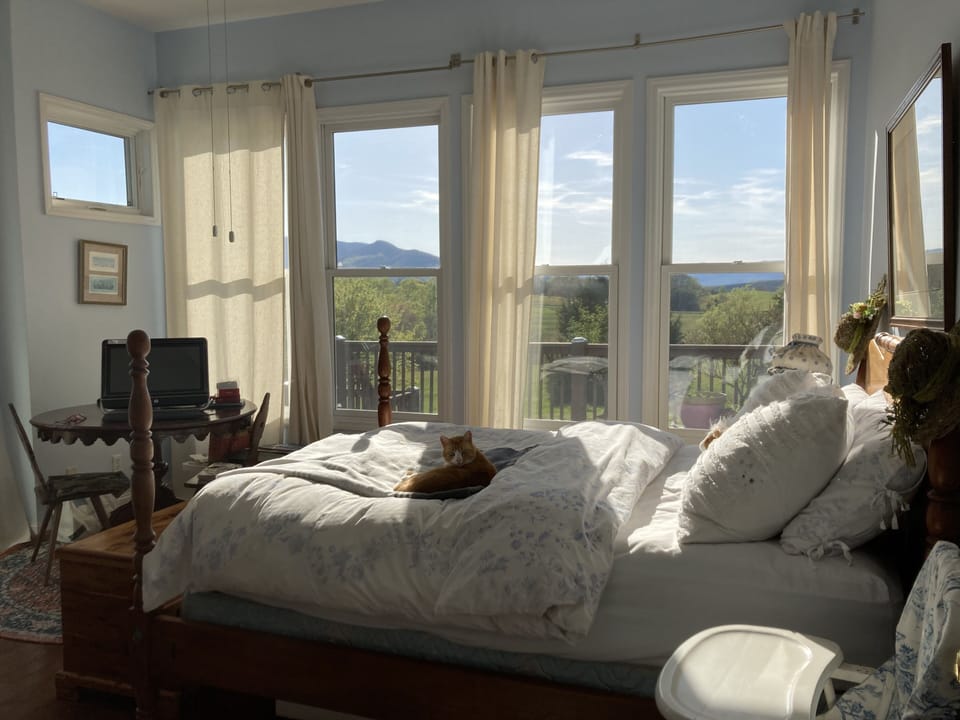 Blue suite with mountain view.