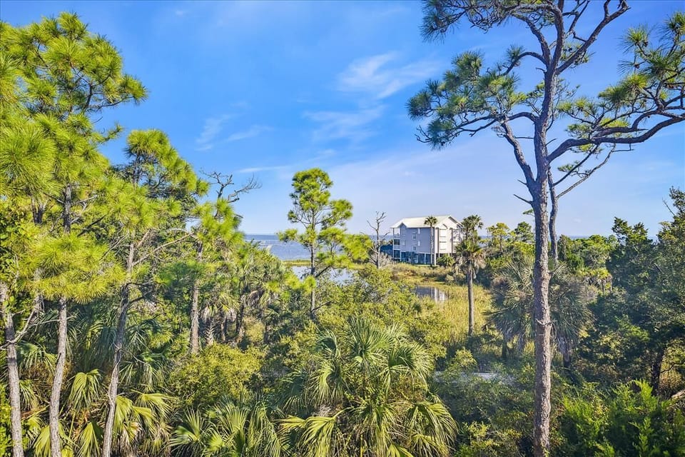 Upper Level Deck View