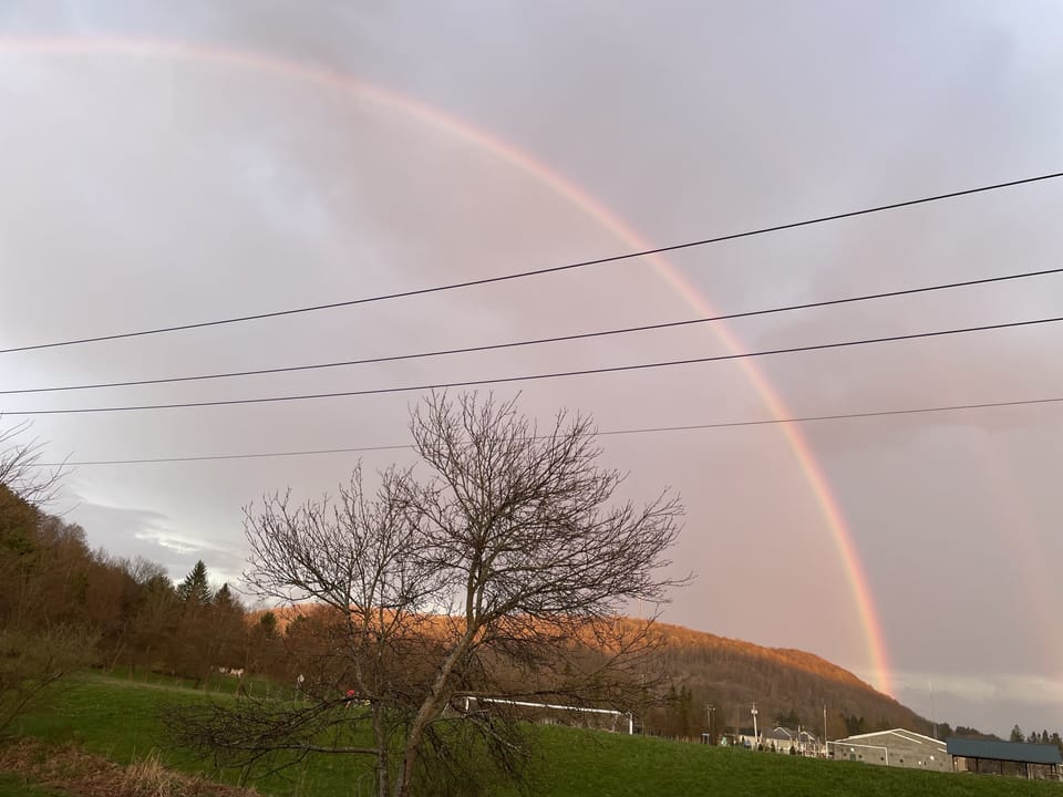 View from the back deck.