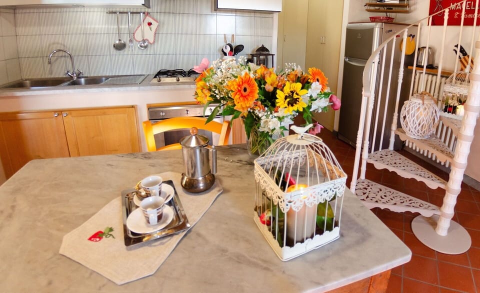 Flower, Kitchen Sink, Property, Sink, Table, Cabinetry, Plant, Countertop, Tap, Orange