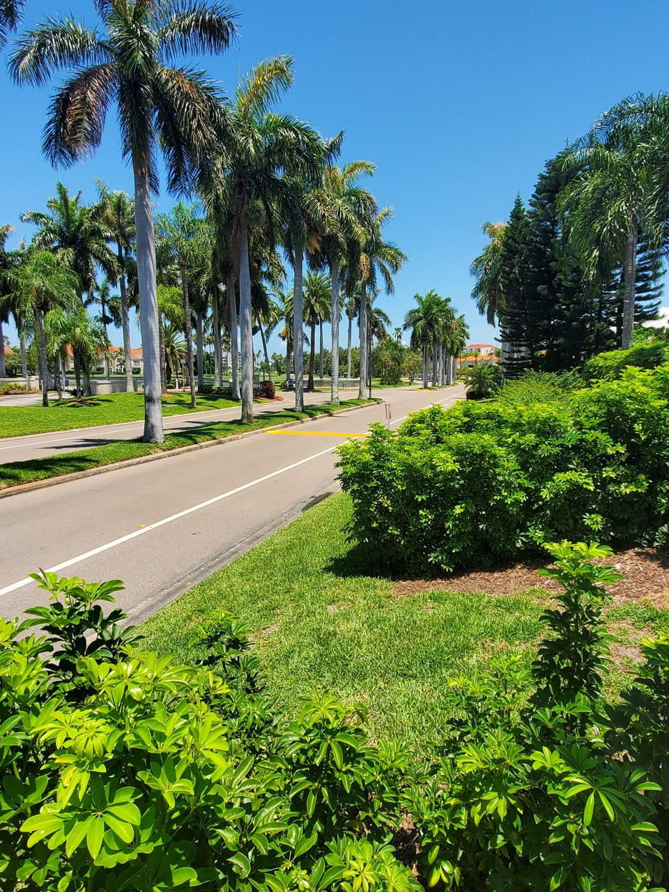 view of road and walking paths next to our building, 