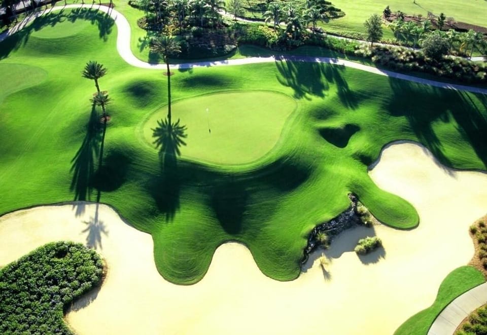 Field, Outdoors, Golf Course, Grass, Tree