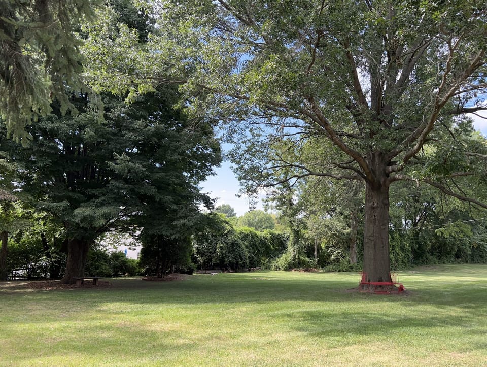 Typical view of the property from the guest house. Note privacy.