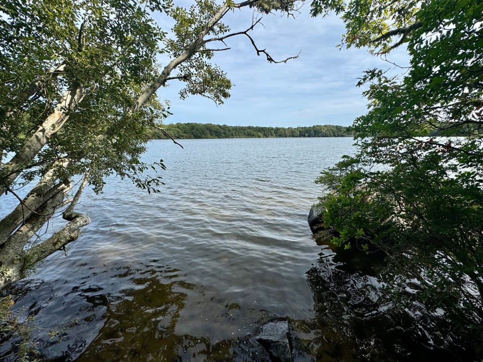 Exterior - Pond