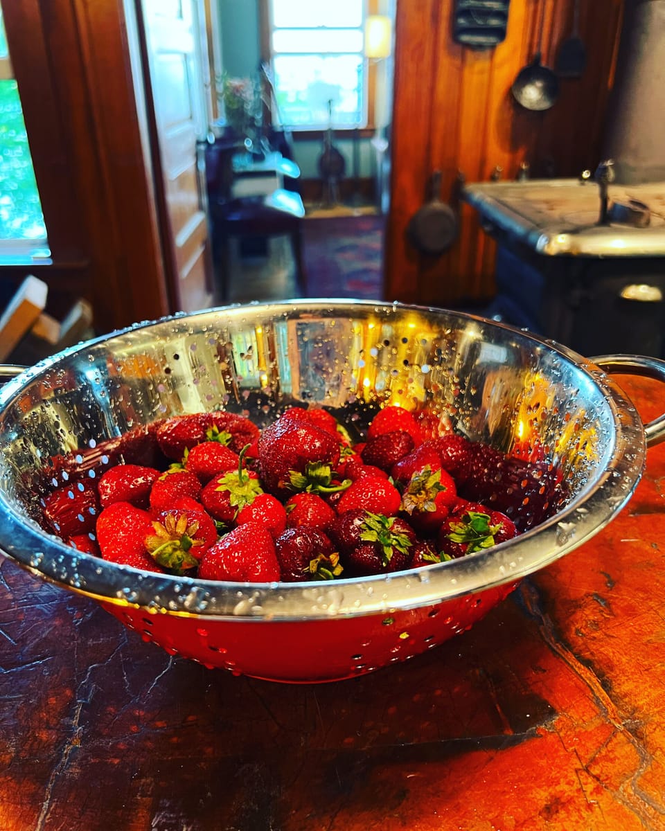 Summer berries 