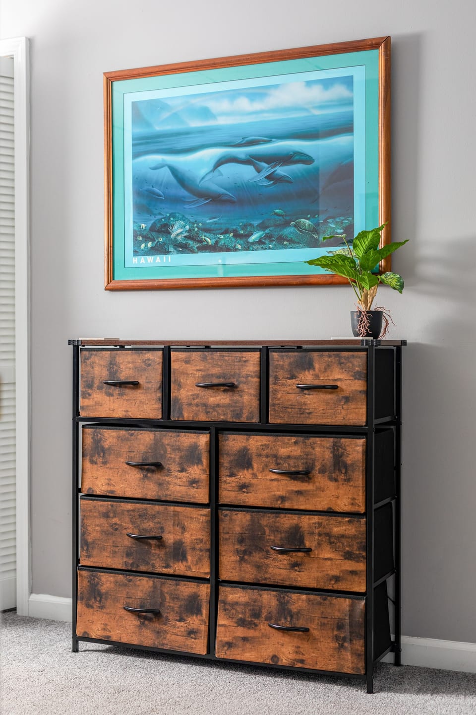 All the wall decor in kiddos bunk room is sea life for them to learn & enjoy. 