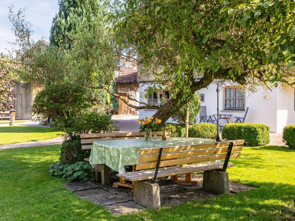 Garden [summer]