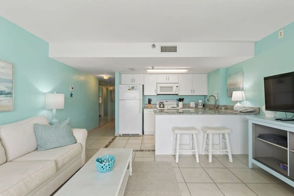 Living and Kitchen Area