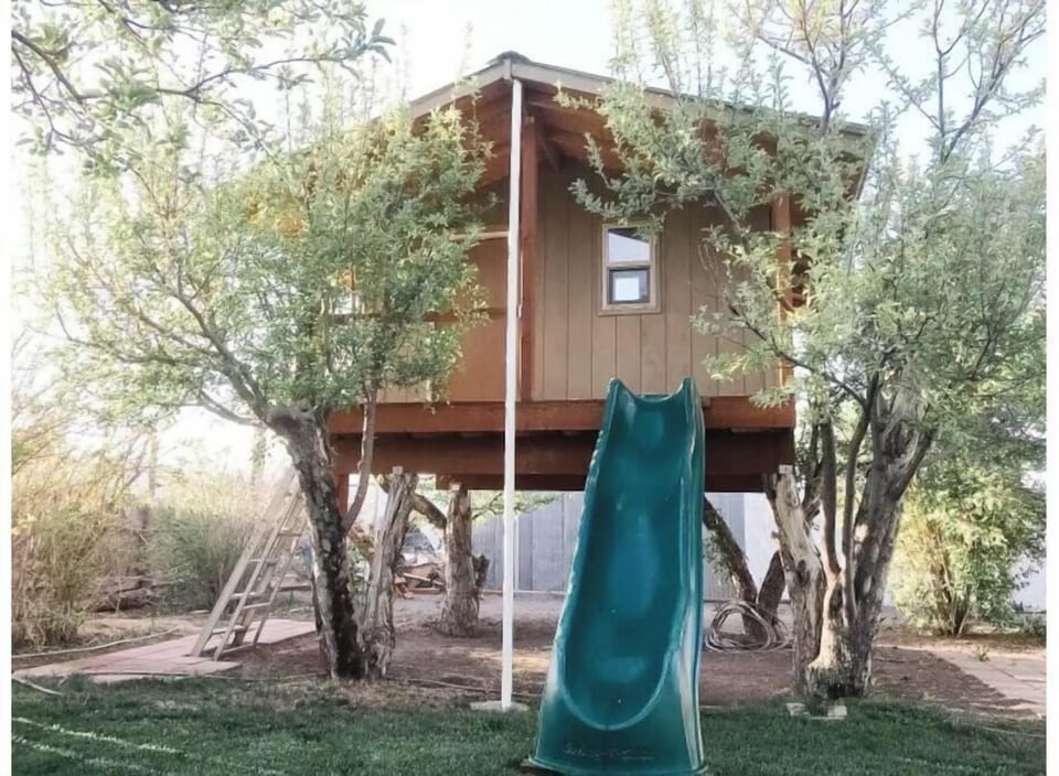 Tree house 