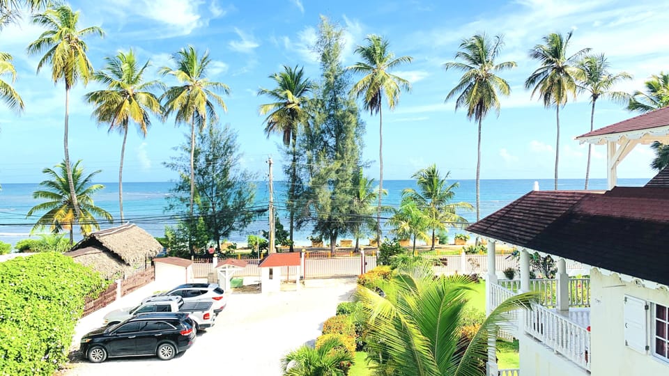 Look at that View !