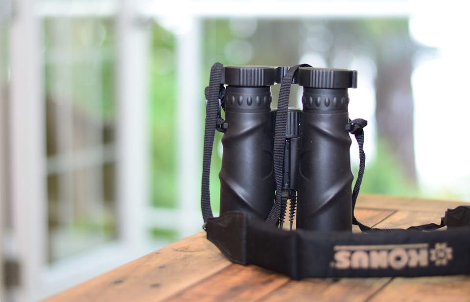 Binoculars provided to spot seals, eagles, and marine life