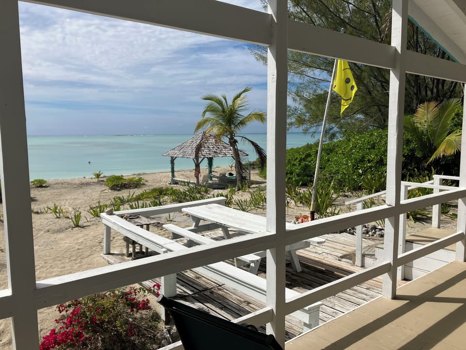 View from the porch.