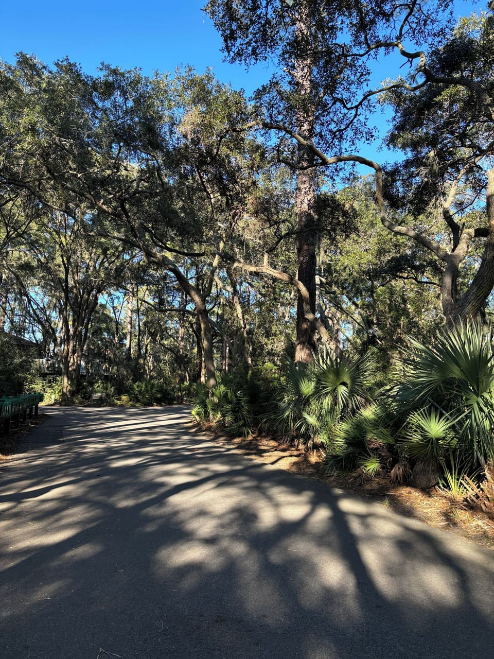 Street in front of the house