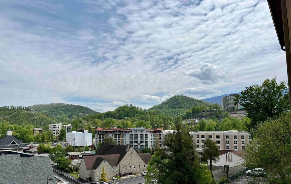 View of Anakeesta (Far Left) Mount LeConte (Far Right behind tree)