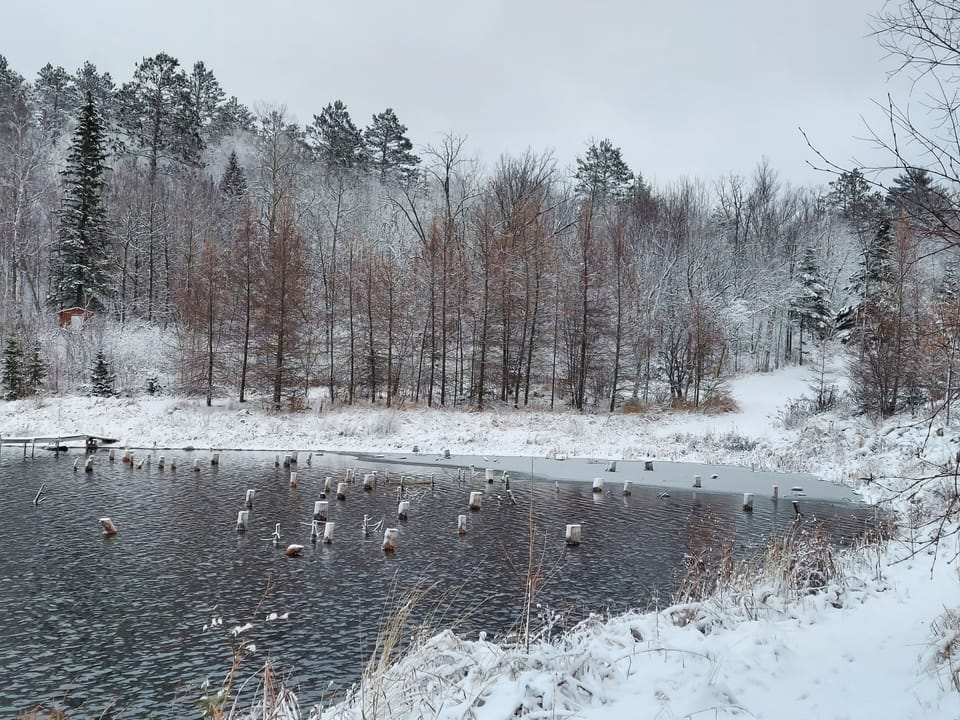 Winter paradise.  Cross Country skiing, snow showing, or snowmobiling. 