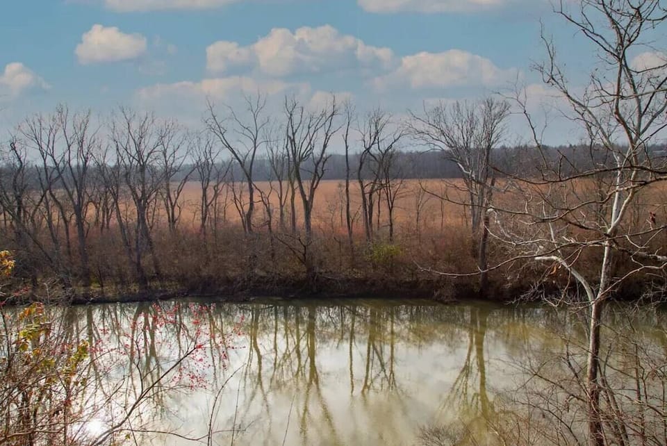 Property backs up to the Big Darby Creek, one of the most biologically diverse aquatic systems in the Midwestern United States.