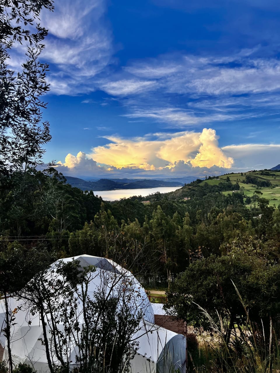 View from property