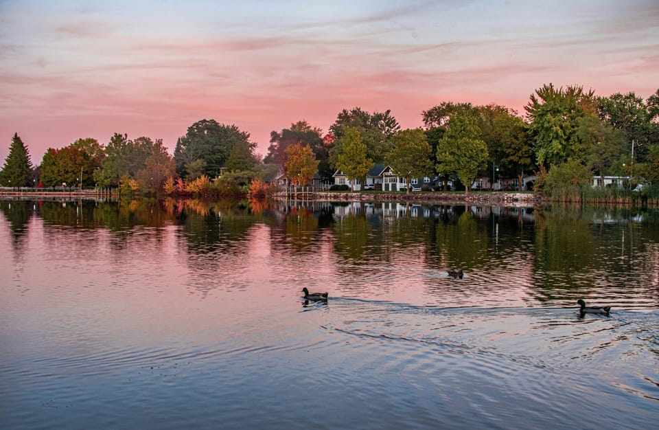 Tranquil lake at sunset with gentle duck paddles