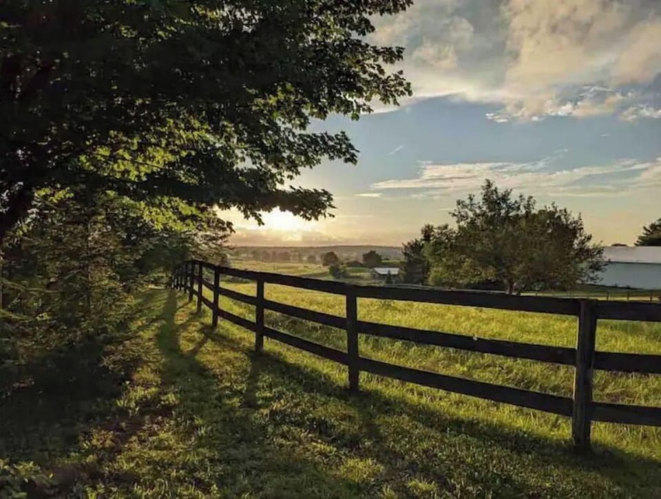 Nice view from top of the hill.