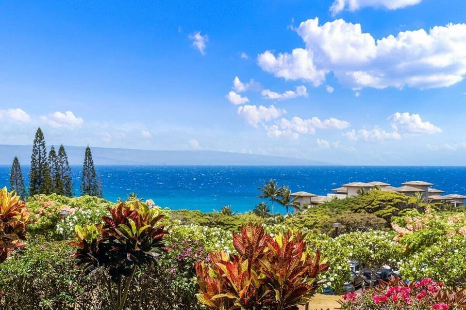 Panoramic ocean views framed by tropical landscaping, showcasing vibrant blues, rolling waves, and the natural beauty of Kapalua.