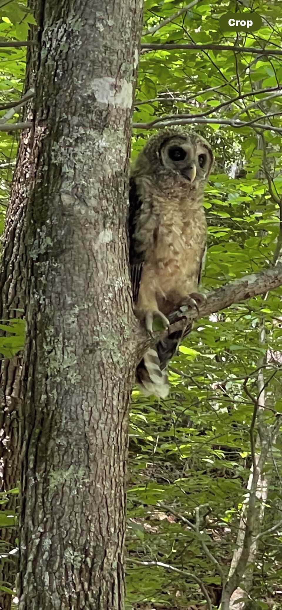 He lives here and his girlfriend too