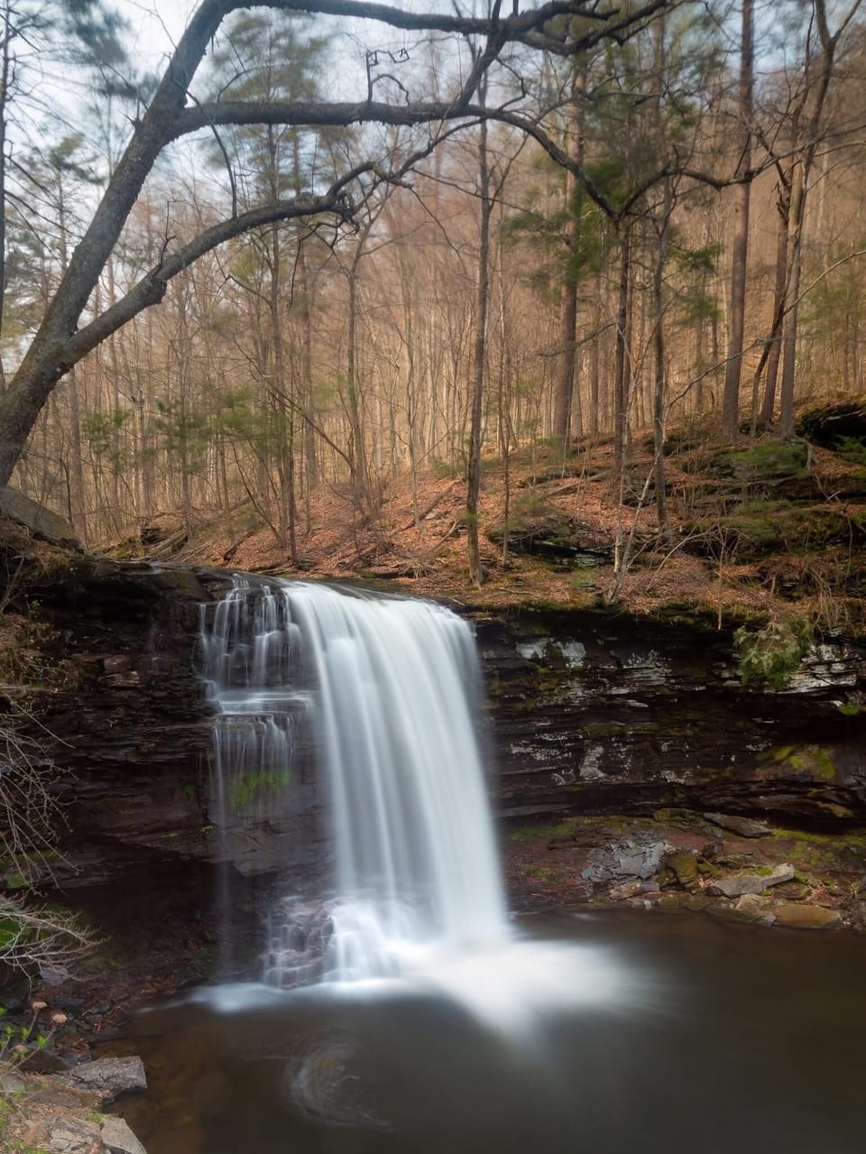 Ricketts Glen state Park Waterfalls Trail