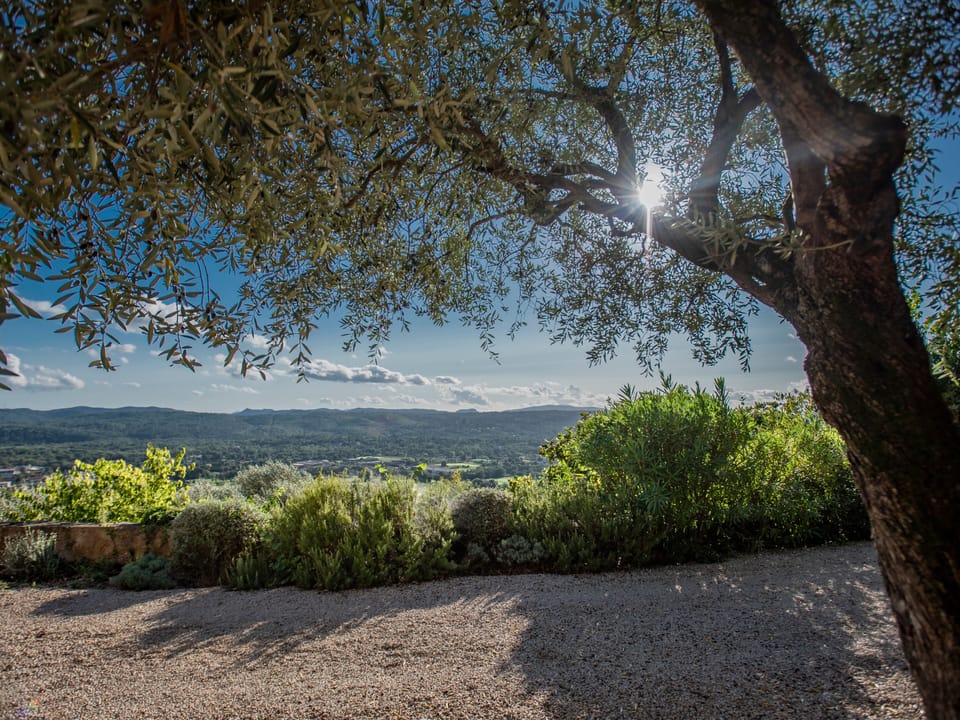View from Holiday Home [summer]