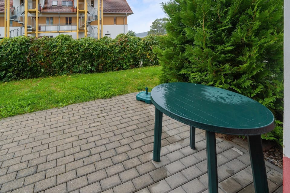 Garden [summer]
