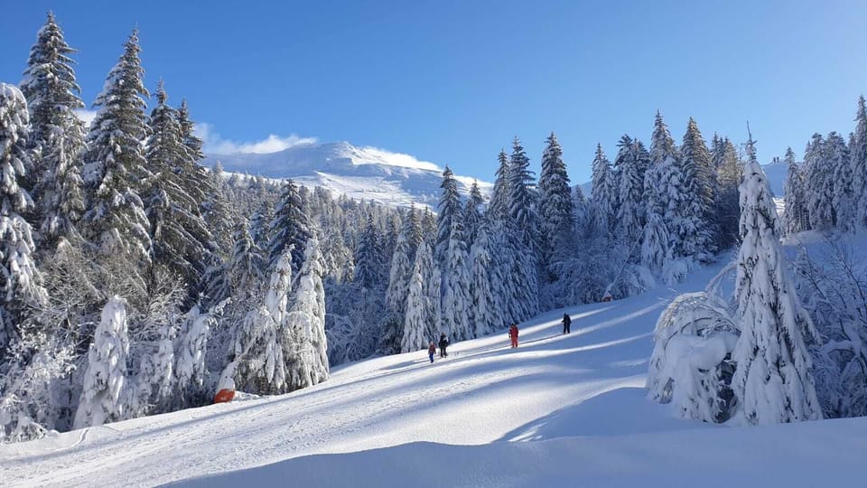 Snow and ski sports