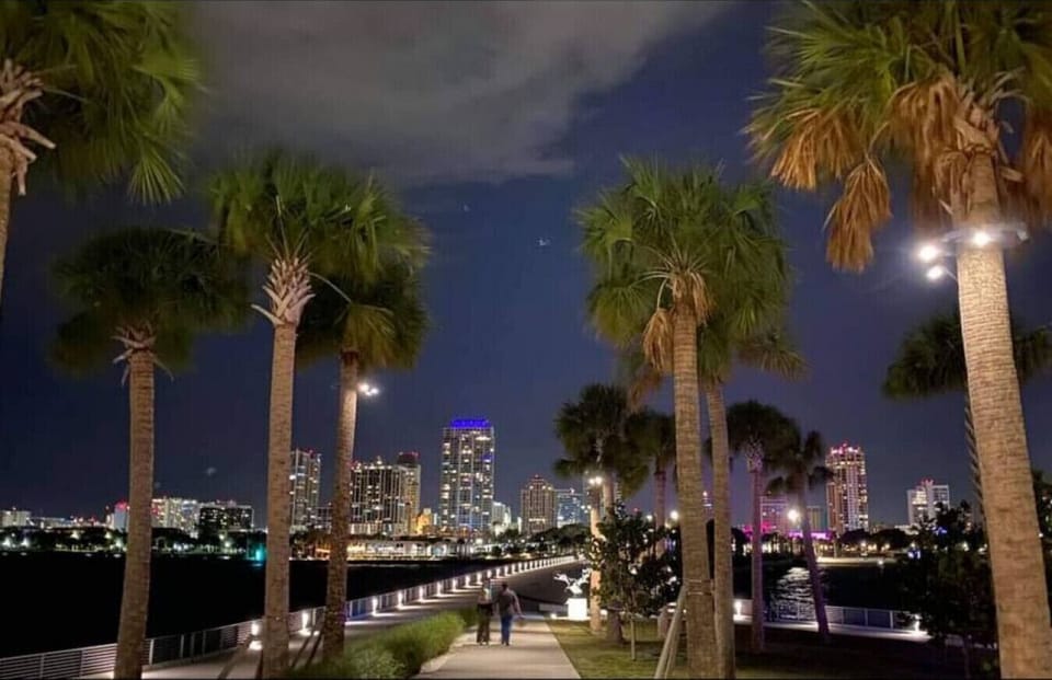 View of Downtown St Pete at Night