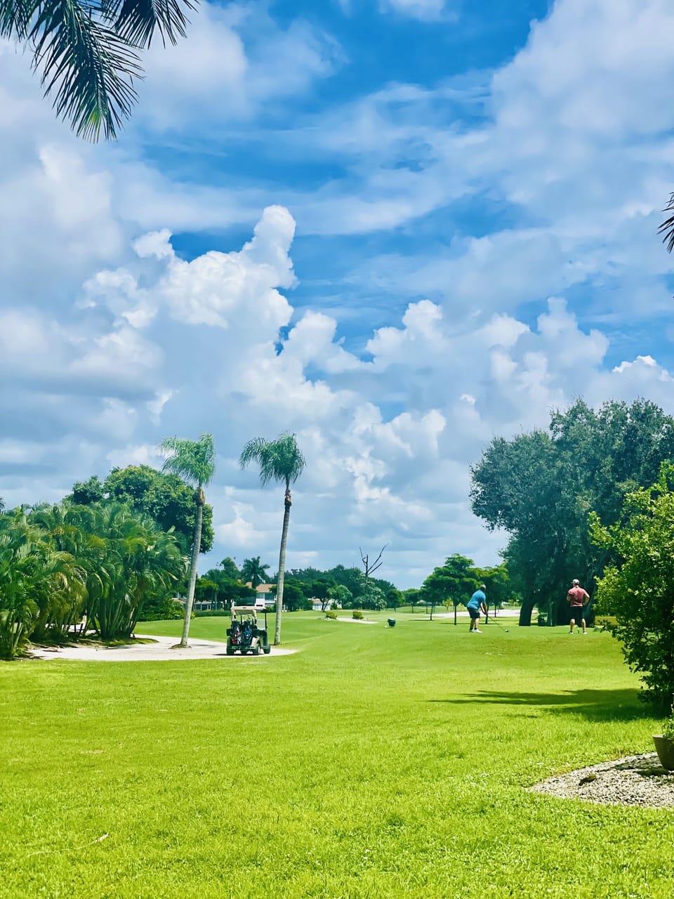 Golf