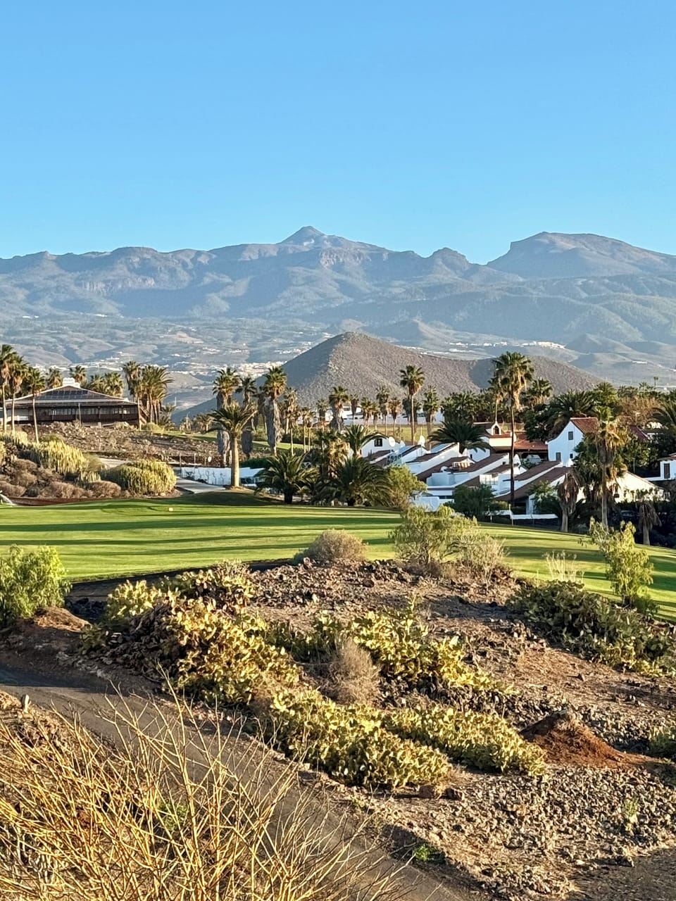 View of Teide and golf course