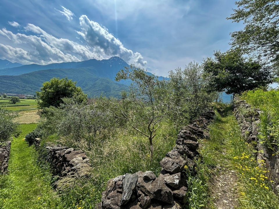 Scenery
