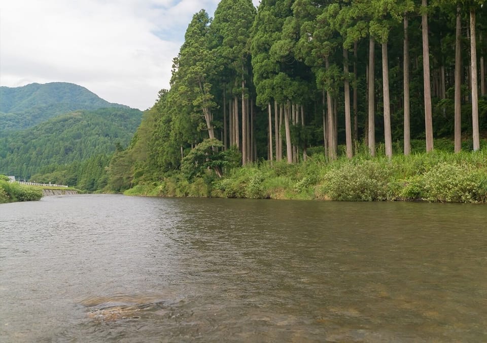 In a workation surrounded by nature, you can work while being healed by negative ions.