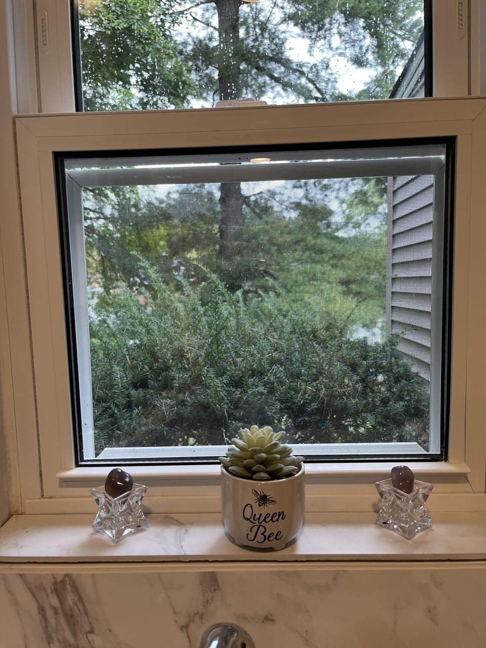 North side window view