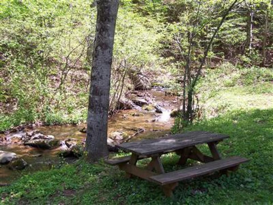 Picnic Area Right Beside Creek