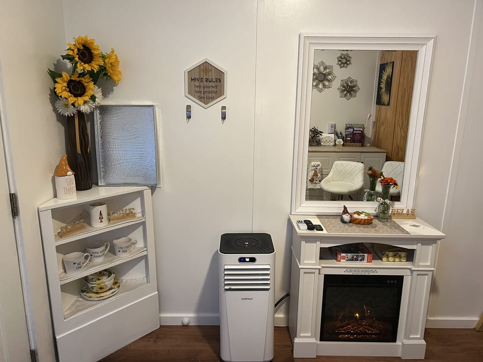 View of fireplace heater, AC unit, 
charming decor. 