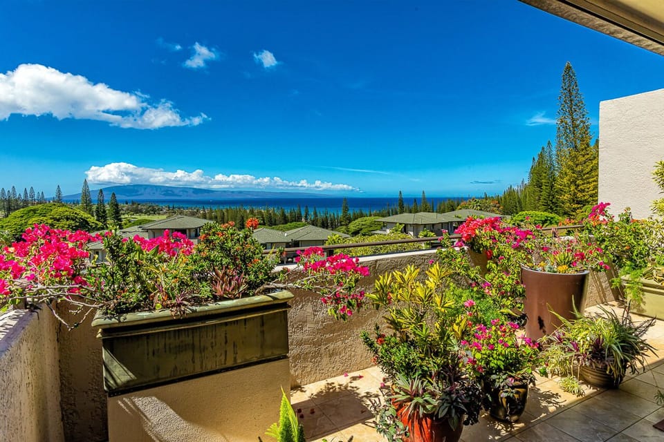 Stunning ocean and mountain views frame this sun-drenched terrace, adorned with vibrant tropical blooms. Your peaceful retreat awaits with breathtaking natural scenery stretching to the horizon.