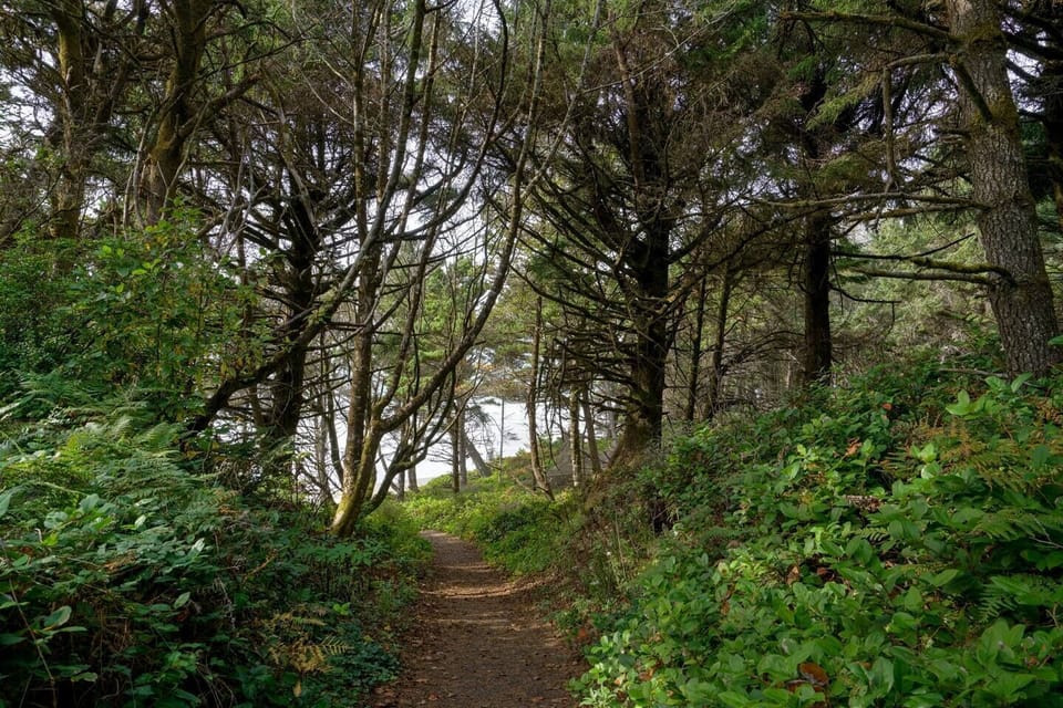 Path to the beach