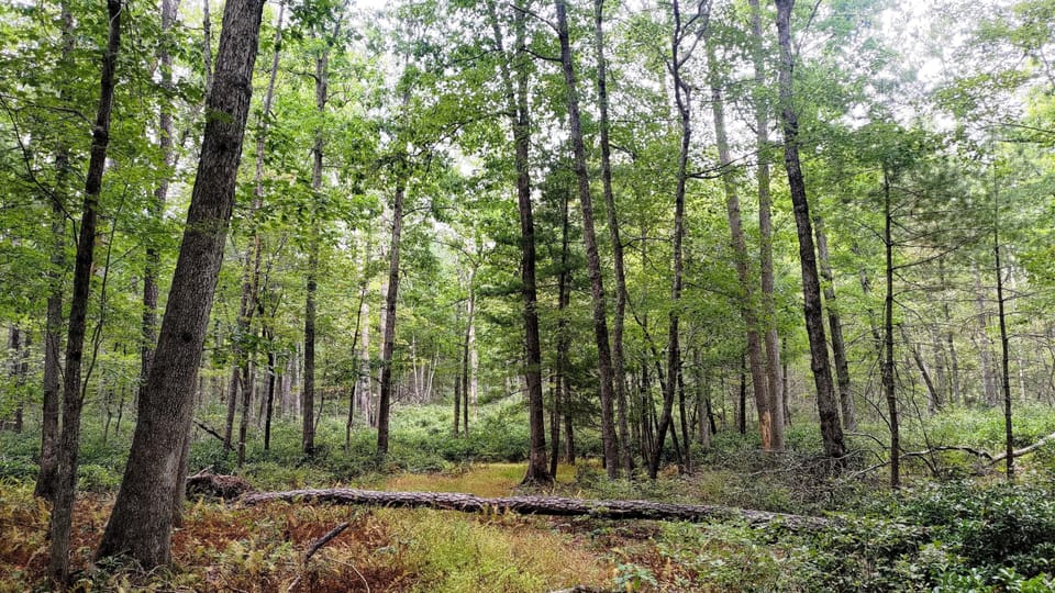 Hiking out the backyard