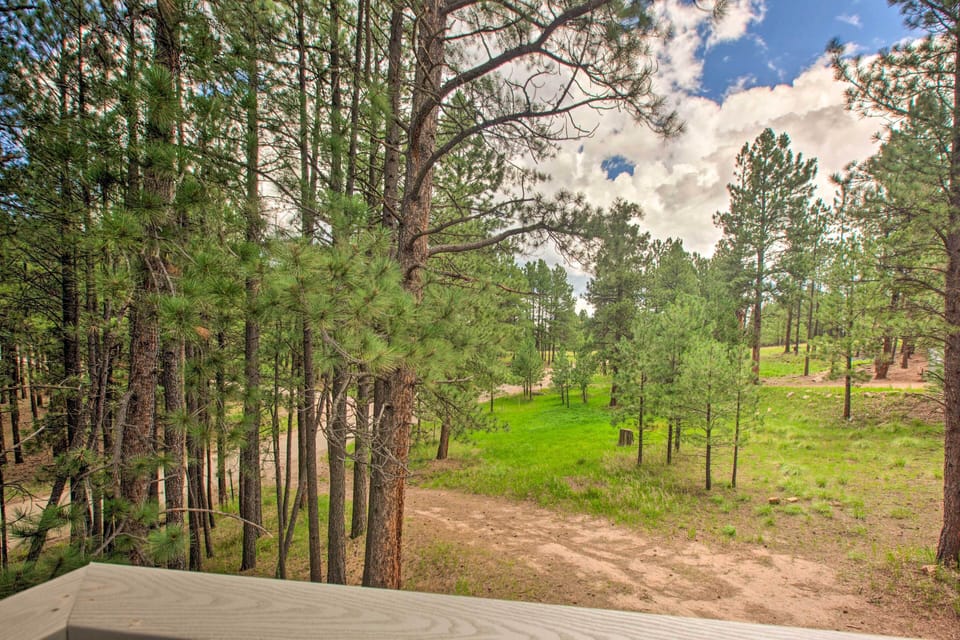 Deck Views