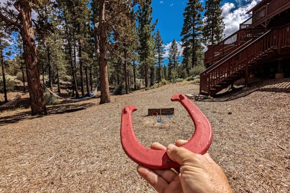 Backyard - Horseshoes