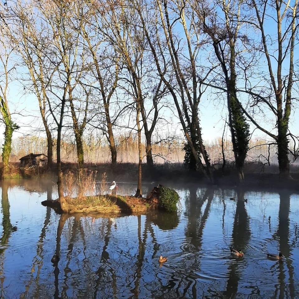 Lake