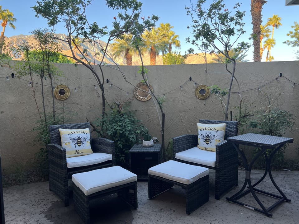 Back patio