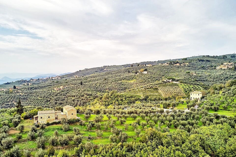 Outdoor, Scenic View