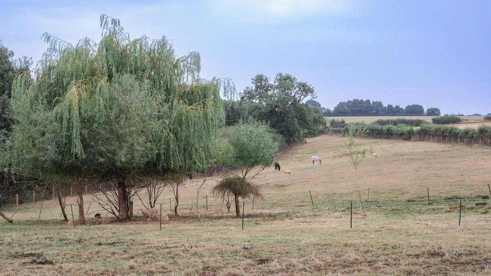Views, Spring Barn, Bolthole Retreats