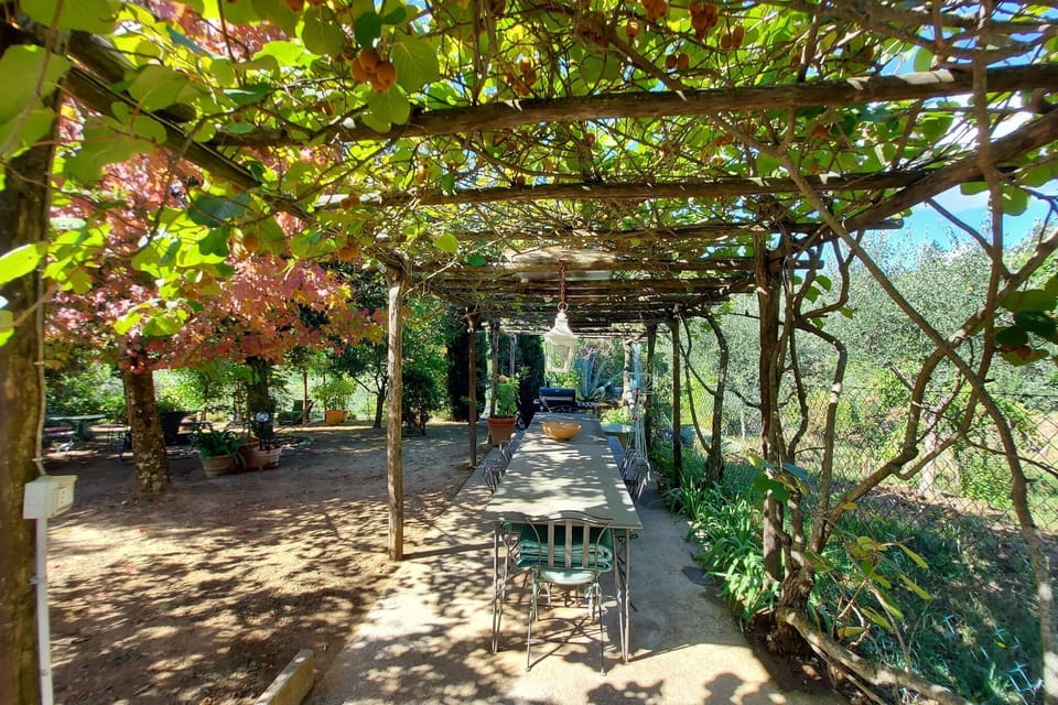Patio / Balcony