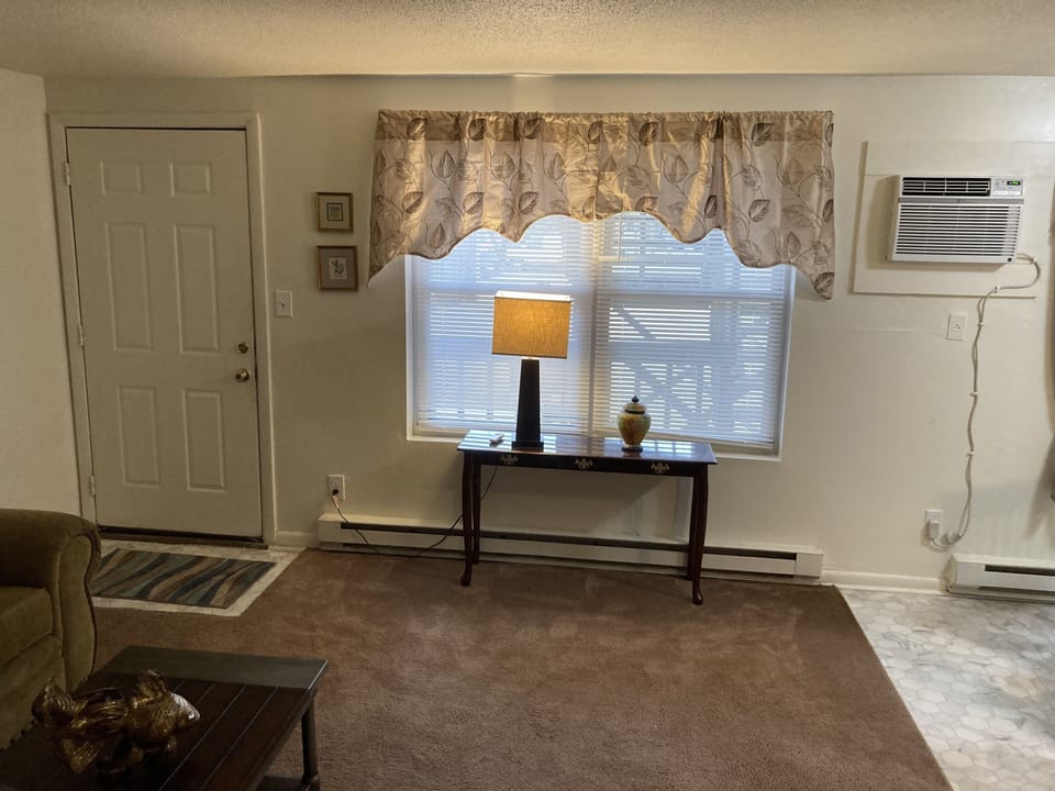 Lots of natural light from living room windows. 