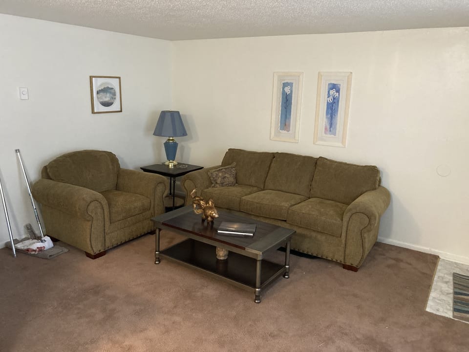 Living Room, with very comfortable couch & chair.